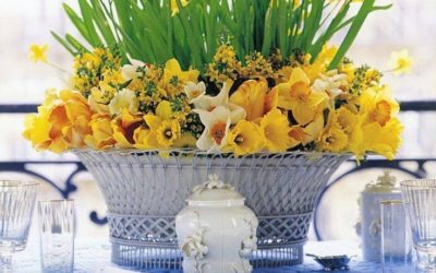 VIVA LA PRIMAVERA!